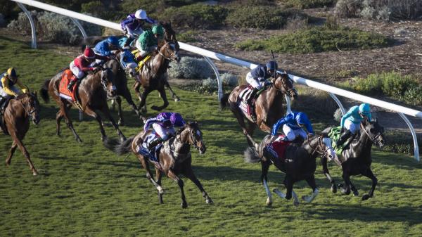 az20171104_eclipsesportswire_t